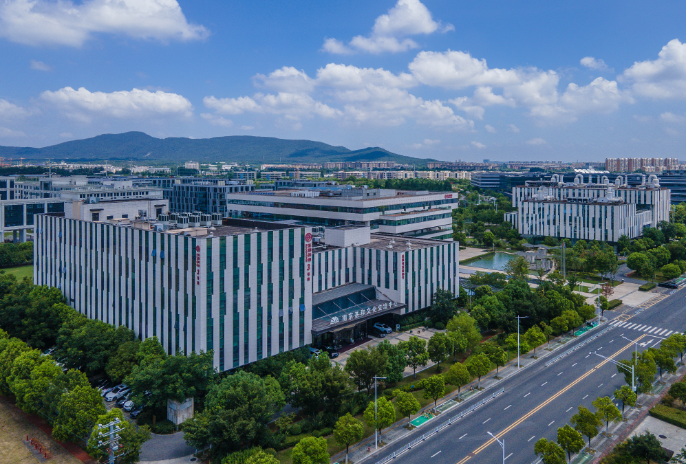 项目所在地背景——麒麟片区